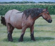 acrylschilderij paard 003 bs